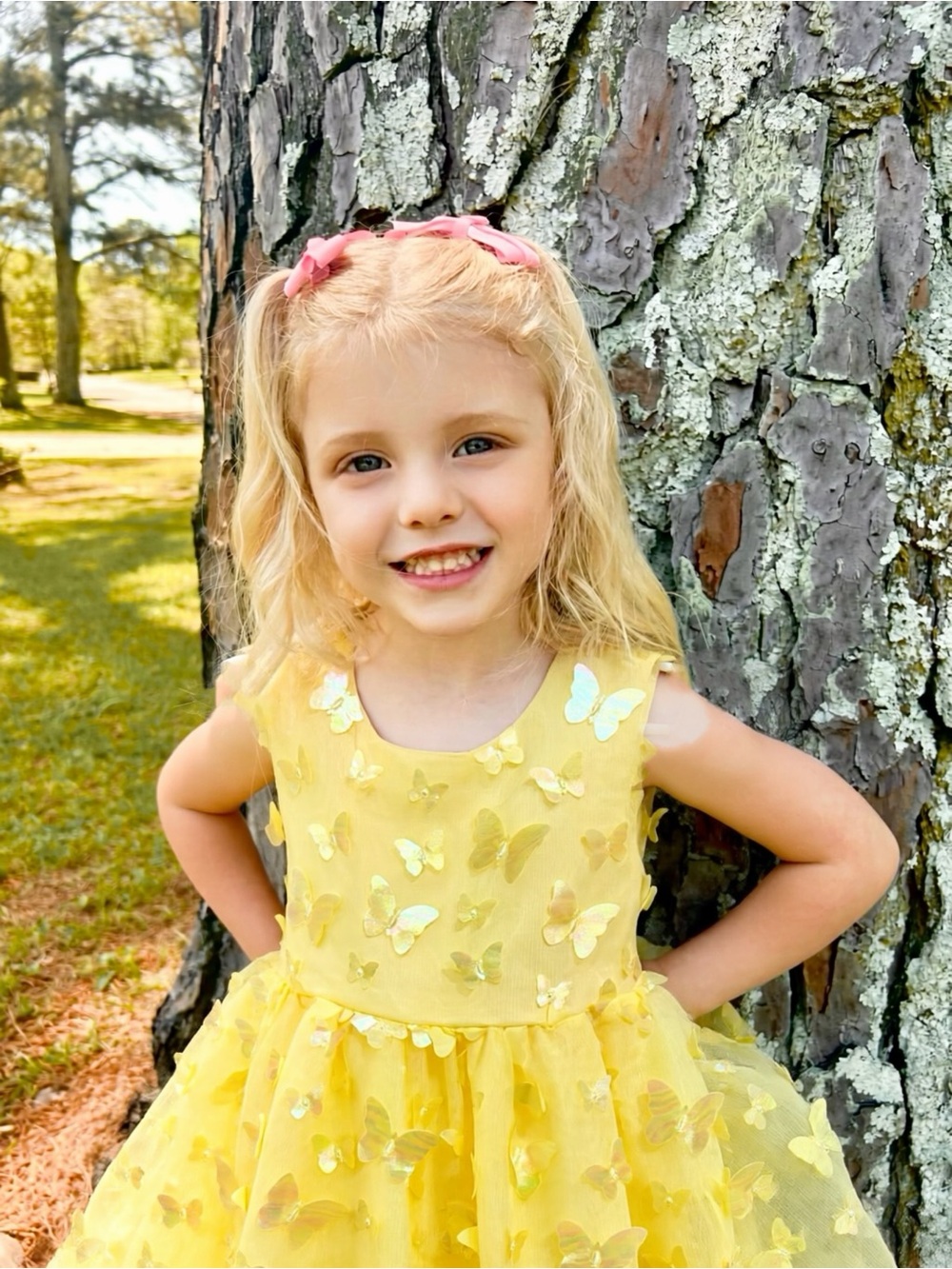 Yellow Butterfly Tulle Party Dress - 4t Brand New